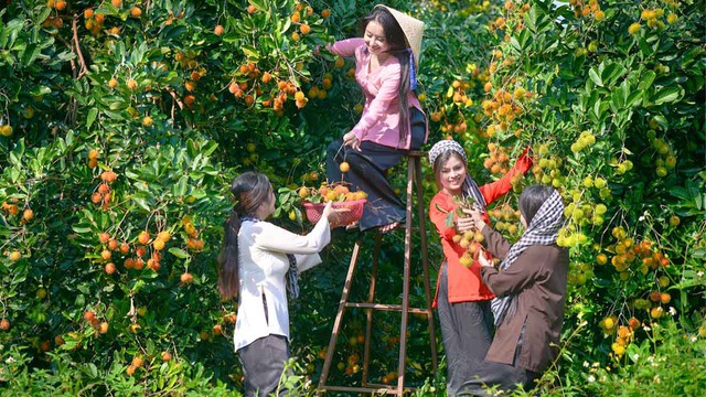 Sau sáp nhập, tỉnh thuộc đồng bằng sông Cửu Long không có núi, không có biển lần đầu làm được điều này!- Ảnh 6.
