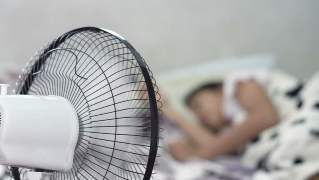 Bật quạt 8 tiếng qua đêm tốn bao nhiêu tiền điện? Người dùng làm thử nghiệm, bất ngờ khi so với điều hòa- Ảnh 1. Bật quạt 8 tiếng qua đêm tốn bao nhiêu tiền điện? Người dùng làm thử nghiệm, bất ngờ khi so với điều hòa- Ảnh 1.