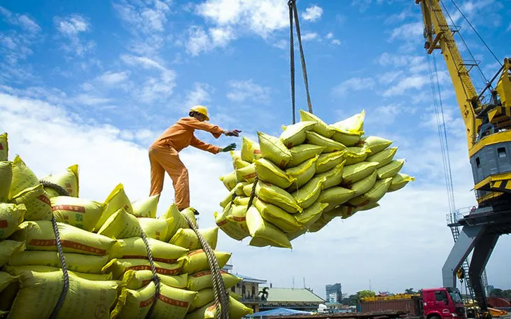 Giá gạo xuất khẩu nửa đầu năm giảm Giá gạo xuất khẩu nửa đầu năm giảm