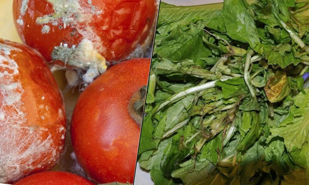 Ăn nhiều 5 loại rau này khác nào tự Ăn nhiều 5 loại rau này khác nào tự