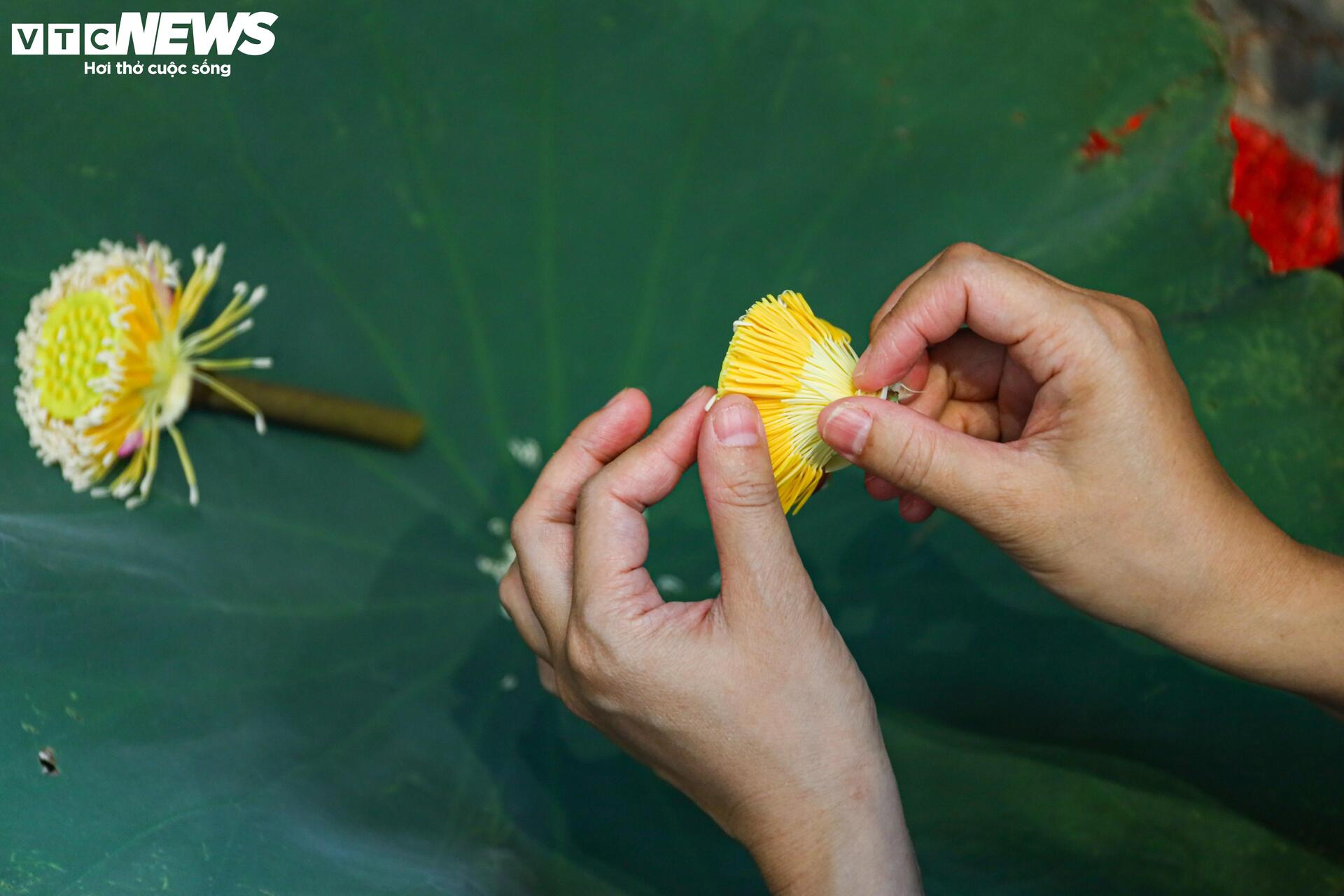 Loại trà đắt đỏ nhất Hà Nội, giá hơn 10 triệu đồng/kg được chế biến thế nào?- Ảnh 10.