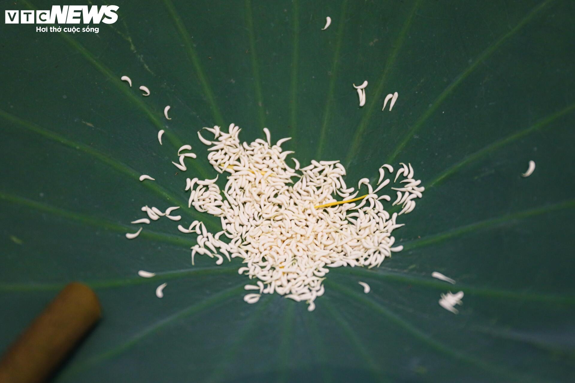 Loại trà đắt đỏ nhất Hà Nội, giá hơn 10 triệu đồng/kg được chế biến thế nào?- Ảnh 11.