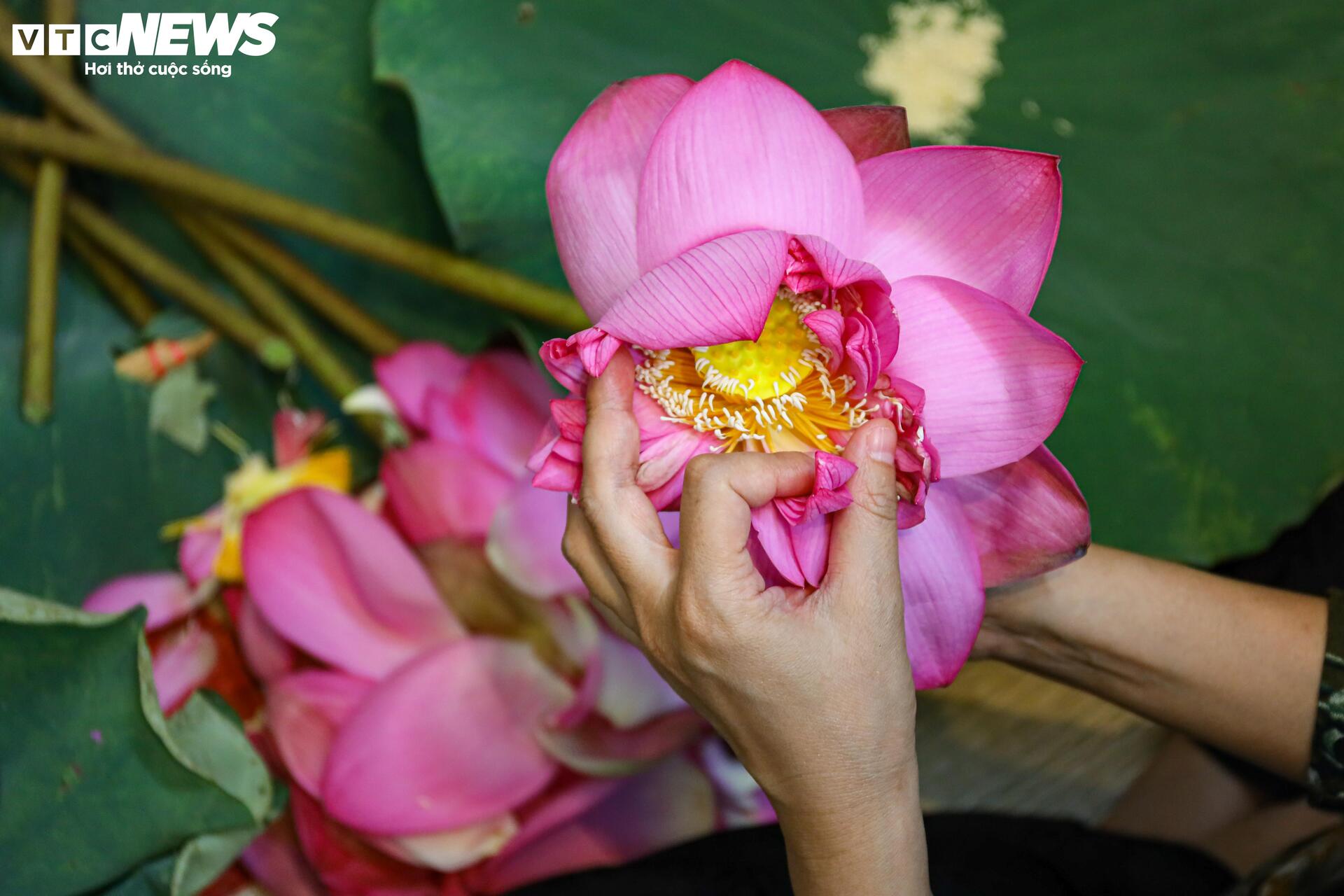 Loại trà đắt đỏ nhất Hà Nội, giá hơn 10 triệu đồng/kg được chế biến thế nào?- Ảnh 9.