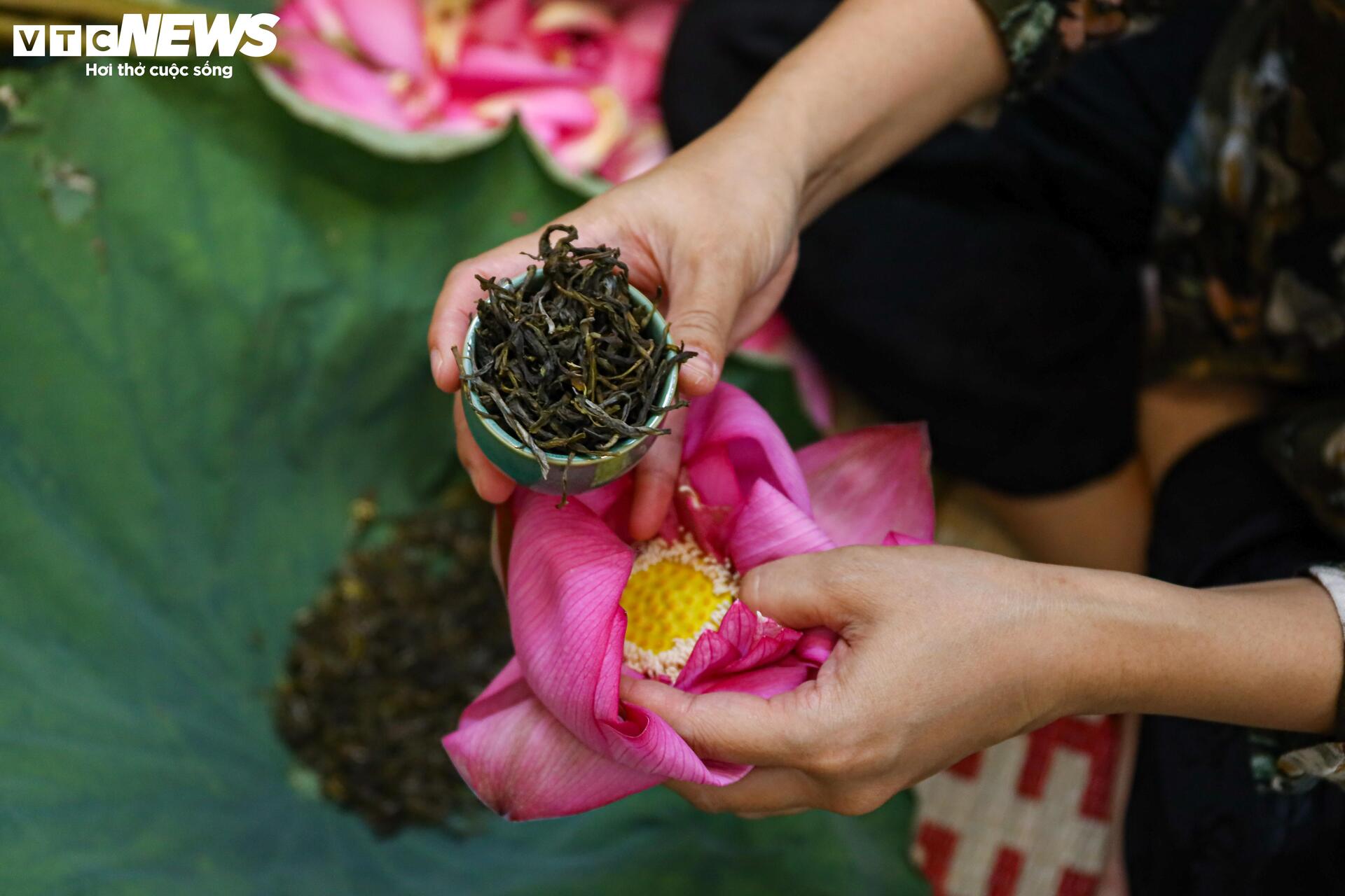 Loại trà đắt đỏ nhất Hà Nội, giá hơn 10 triệu đồng/kg được chế biến thế nào?- Ảnh 14.