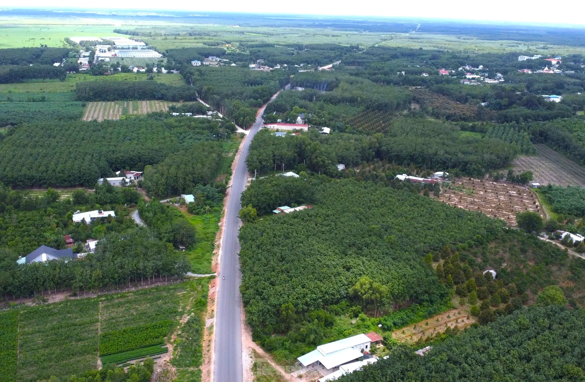 Ngắm tuyến đường như dải lụa xuyên rừng nối các tỉnh, thành miền Đông Nam bộ- Ảnh 10. Ngắm tuyến đường như dải lụa xuyên rừng nối các tỉnh, thành miền Đông Nam bộ- Ảnh 10.