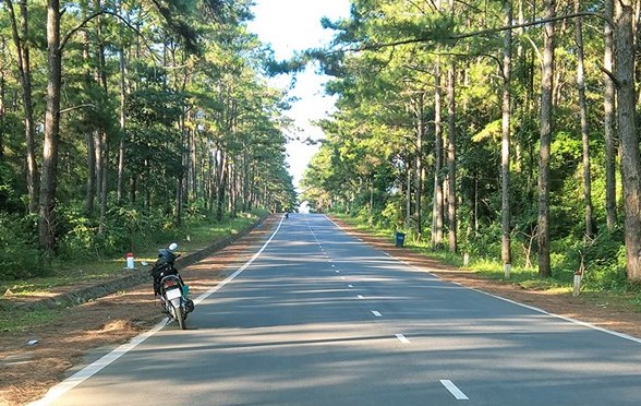Quảng Ngãi sẵn sàng làm cao tốc, sân bay Lý Sơn, Măng Đen- Ảnh 2. Quảng Ngãi sẵn sàng làm cao tốc, sân bay Lý Sơn, Măng Đen- Ảnh 2.