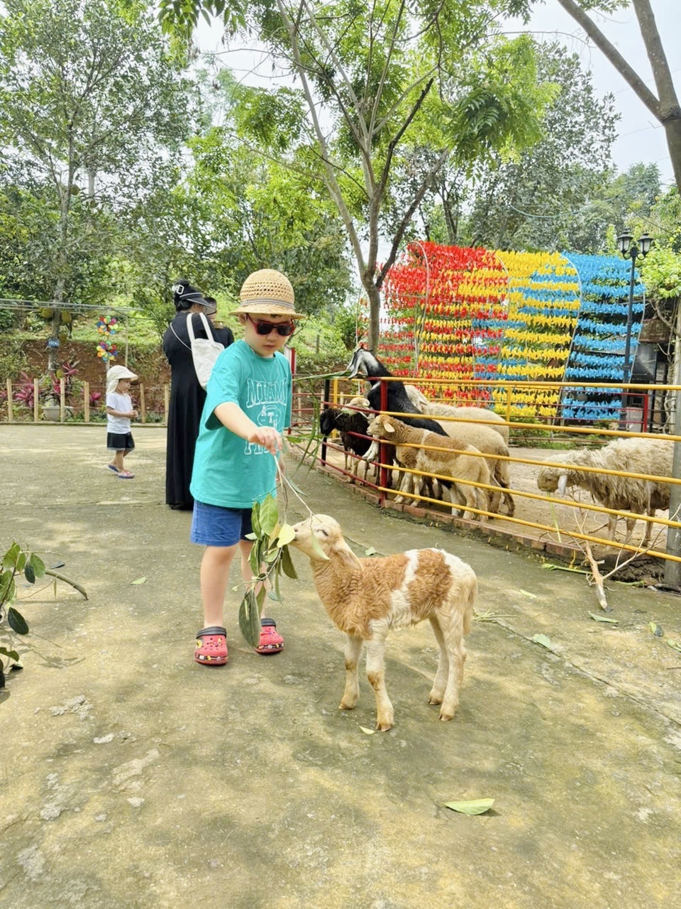Cậu bé Hà Nội đạt hàng loạt Huy chương, Học bổng dù CHƯA VÀO LỚP 1: Bố tiết lộ lịch học bất ngờ, nói thẳng về tranh cãi trên MXH- Ảnh 6. Cậu bé Hà Nội đạt hàng loạt Huy chương, Học bổng dù CHƯA VÀO LỚP 1: Bố tiết lộ lịch học bất ngờ, nói thẳng về tranh cãi trên MXH- Ảnh 6.