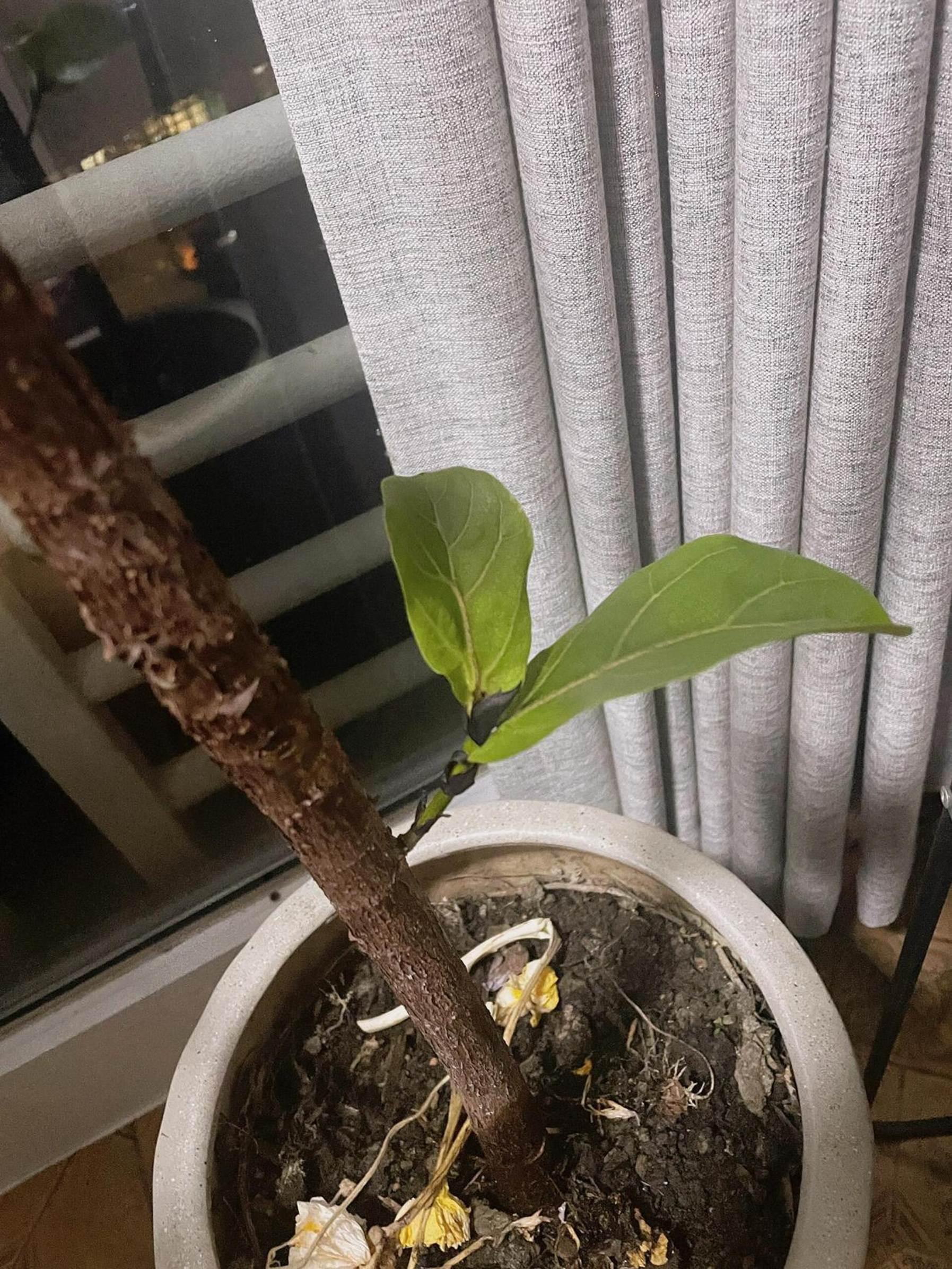 8 dấu hiệu chứng tỏ nhà bạn đang có nhiều phúc, càng ở càng có lộc, đừng dại bán đi- Ảnh 3. 8 dấu hiệu chứng tỏ nhà bạn đang có nhiều phúc, càng ở càng có lộc, đừng dại bán đi- Ảnh 3.