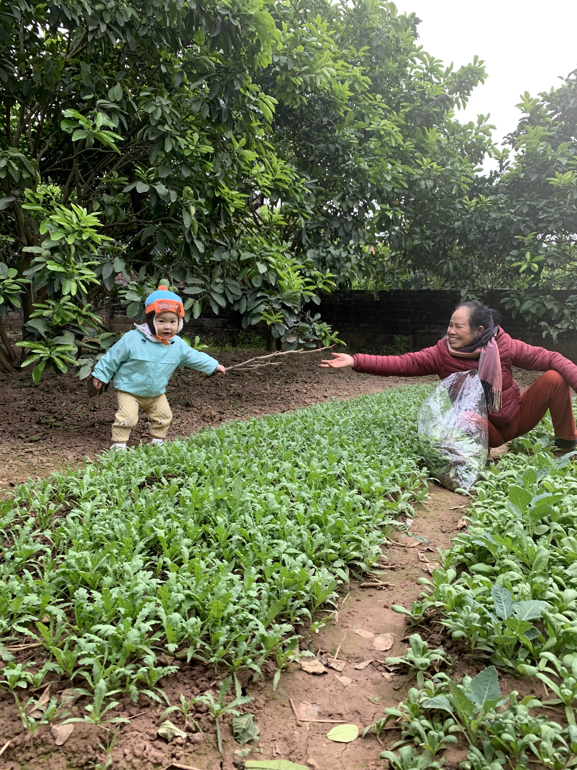 Cậu bé Hà Nội đạt hàng loạt Huy chương, Học bổng dù CHƯA VÀO LỚP 1: Bố tiết lộ lịch học bất ngờ, nói thẳng về tranh cãi trên MXH- Ảnh 9. Cậu bé Hà Nội đạt hàng loạt Huy chương, Học bổng dù CHƯA VÀO LỚP 1: Bố tiết lộ lịch học bất ngờ, nói thẳng về tranh cãi trên MXH- Ảnh 9.