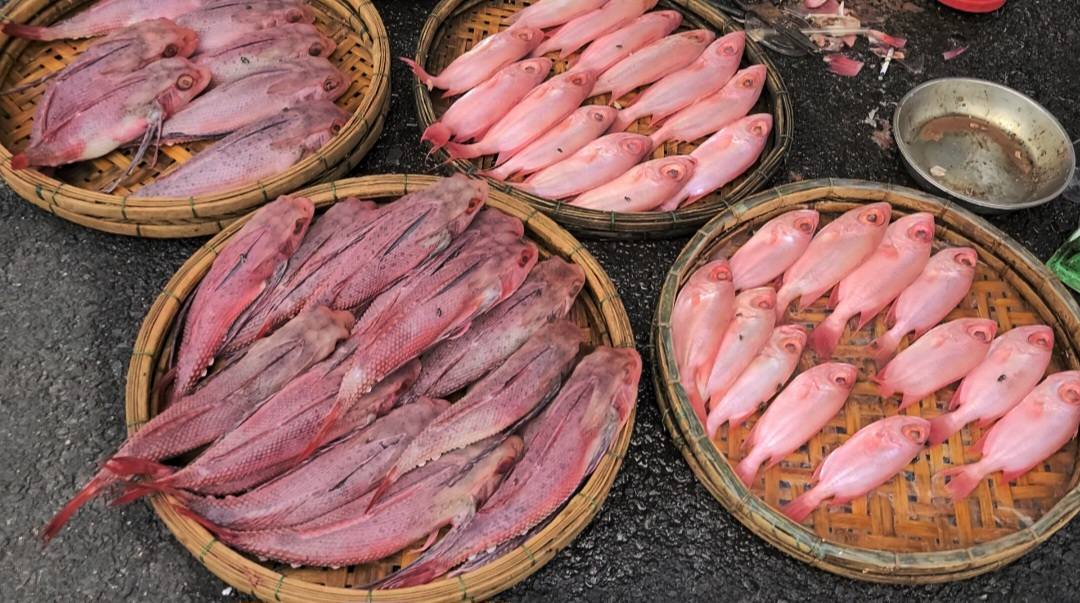 Đà Nẵng: Ban quản lý chợ Cẩm Lệ nói gì về phản ánh cá biển có màu bất thường?- Ảnh 1. Đà Nẵng: Ban quản lý chợ Cẩm Lệ nói gì về phản ánh cá biển có màu bất thường?- Ảnh 1.