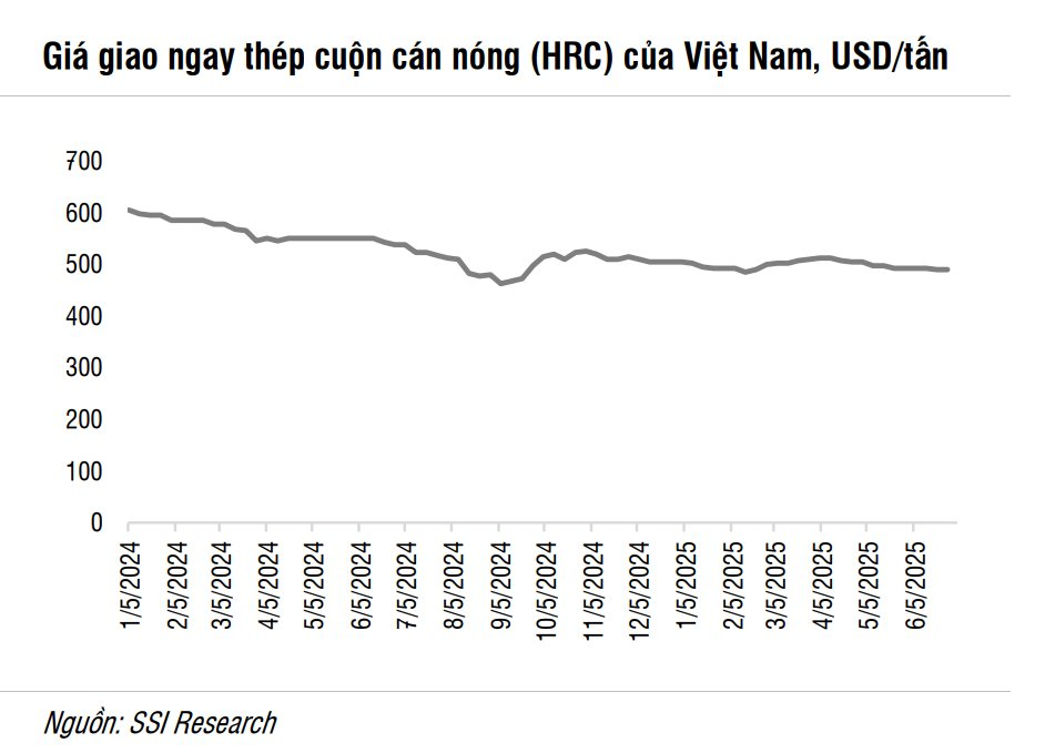 'Thần hộ mệnh' giúp vua thép Trần Đình Long ngược dòng ngoạn mục khi thép thế giới 'đóng băng'- Ảnh 2.