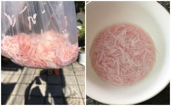Vụ bún đổi sang màu đỏ sau vài tiếng: Thông tin bất ngờ về cơ sở sản xuất- Ảnh 1. Vụ bún đổi sang màu đỏ sau vài tiếng: Thông tin bất ngờ về cơ sở sản xuất- Ảnh 1.
