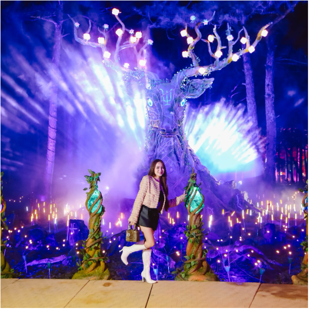 Khai trương show diễn "Sử Thi Âu Lạc" tại Delight Park Đà Lạt- Ảnh 2.