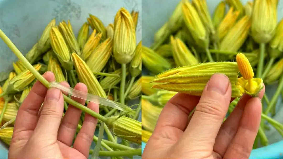 Vào tháng Tám nếu thấy loại Vào tháng Tám nếu thấy loại