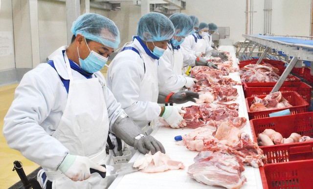 2 doanh nghiệp xin xây 'chung cư nuôi heo': Tiềm lực như thế nào?- Ảnh 1.