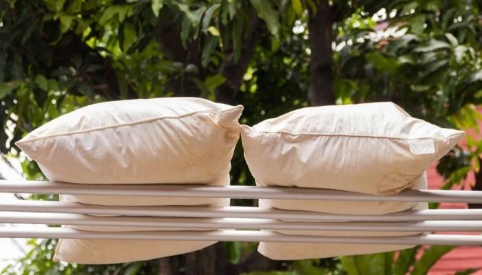 Hai món đồ trên giường là ổ vi khuẩn, bẩn dai dẳng nhưng 80% người dùng bỏ qua việc vệ sinh- Ảnh 4. Hai món đồ trên giường là ổ vi khuẩn, bẩn dai dẳng nhưng 80% người dùng bỏ qua việc vệ sinh- Ảnh 4.