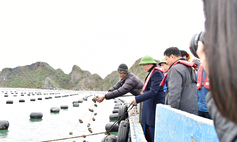 Giải quyết tận gốc nguyên nhân của tình trạng vi phạm IUU để khơi thông ngành kinh tế trọng yếu- Ảnh 4. Giải quyết tận gốc nguyên nhân của tình trạng vi phạm IUU để khơi thông ngành kinh tế trọng yếu- Ảnh 4.