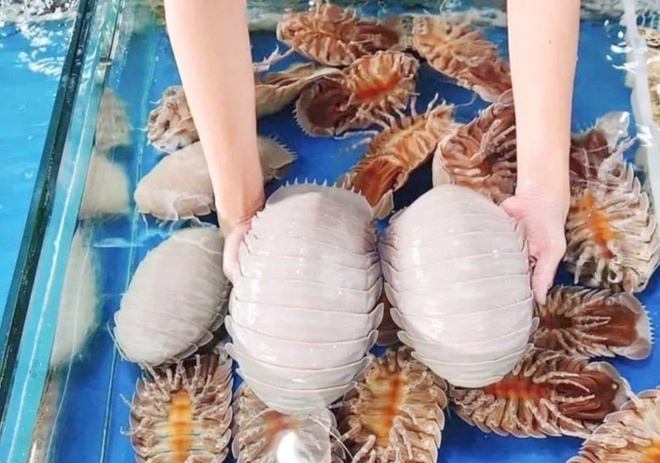 Loại hải sản Loại hải sản