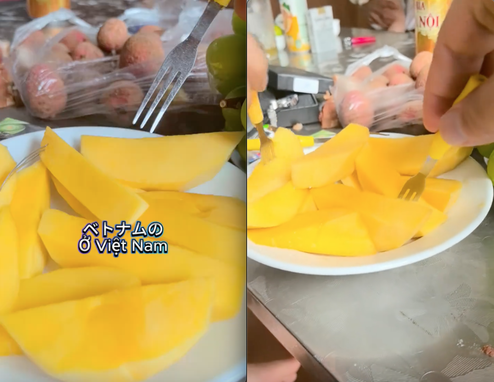 Khách Nhật "xỉu luôn" sau khi ăn 1 loại trái cây màu vàng của Việt Nam, khẳng định hàng "chuẩn xịn"- Ảnh 2. Khách Nhật "xỉu luôn" sau khi ăn 1 loại trái cây màu vàng của Việt Nam, khẳng định hàng "chuẩn xịn"- Ảnh 2.