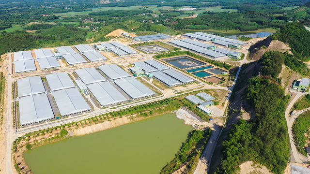 2 doanh nghiệp xin xây 'chung cư nuôi heo': Tiềm lực như thế nào?- Ảnh 2.