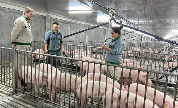 2 doanh nghiệp xin xây 'chung cư nuôi heo': Tiềm lực như thế nào?- Ảnh 3.