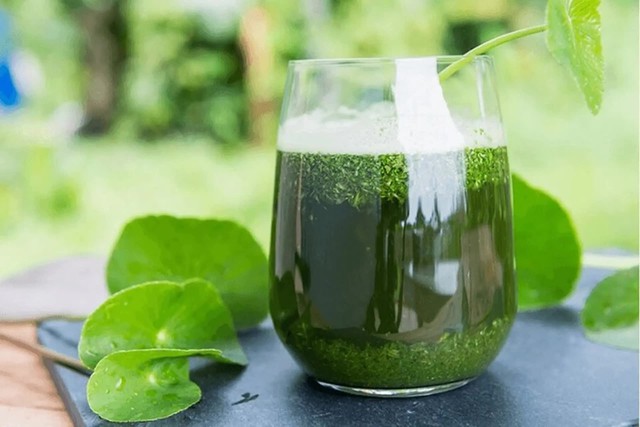 Đi chợ thấy loại rau này nhớ mua ngay: Chống rụng tóc, kích thích mọc tóc con cực tốt, chỉ 15.000 đồng/kg- Ảnh 2.