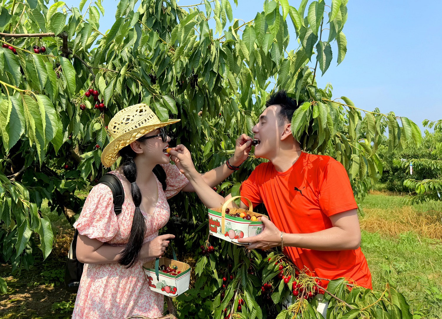 Việt Trinh đi du lịch 16 ngày cùng nam ca sĩ ở nhà hơn 2.000 cây vàng, 2 lần đổ vỡ hôn nhân- Ảnh 2.