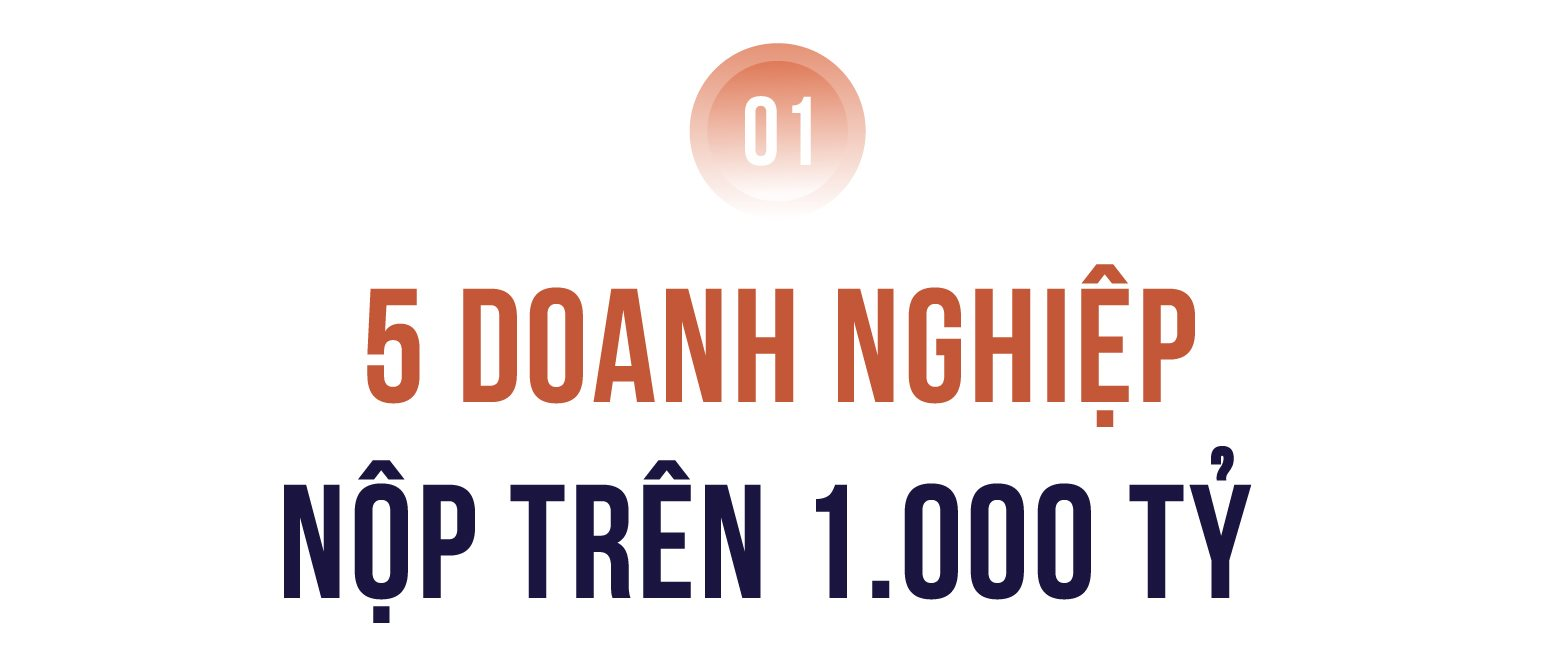 Công bố 10 Công ty tư nhân Thực phẩm - Đồ uống nộp ngân sách lớn nhất Việt Nam- Ảnh 1.