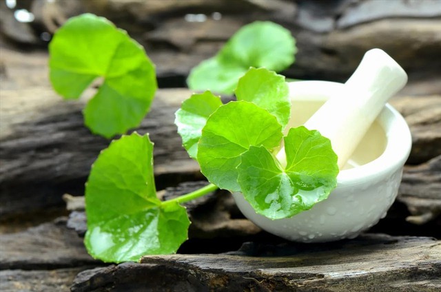Đi chợ thấy loại rau này nhớ mua ngay: Chống rụng tóc, kích thích mọc tóc con cực tốt, chỉ 15.000 đồng/kg- Ảnh 3.