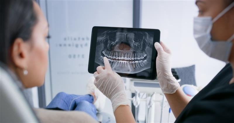 Nhật Bản thử nghiệm thuốc mọc lại răng cho người lớn, dự kiến 2030 sẽ bán ra- Ảnh 4. Nhật Bản thử nghiệm thuốc mọc lại răng cho người lớn, dự kiến 2030 sẽ bán ra- Ảnh 4.