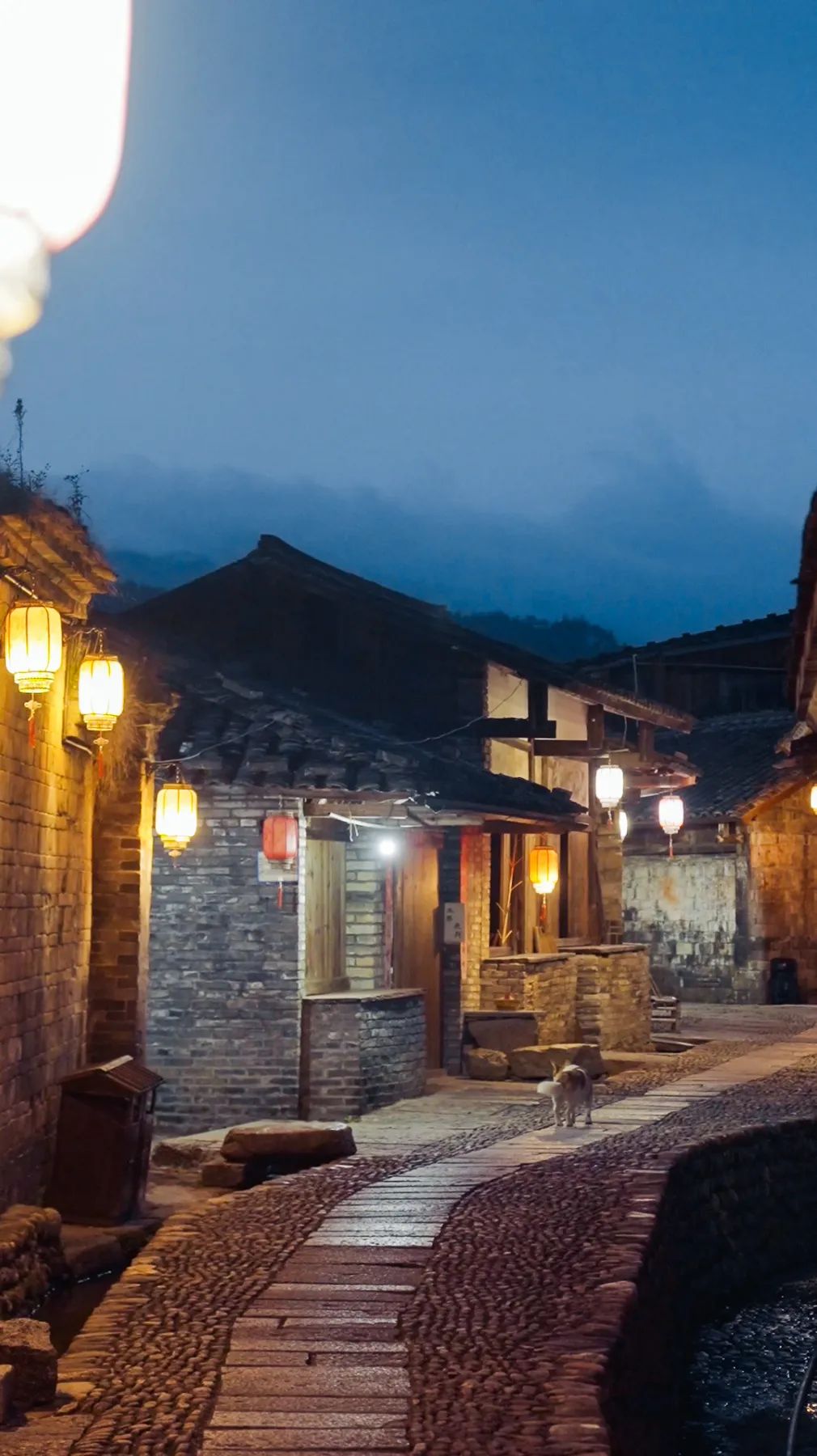 Từ bỏ 20 năm lập nghiệp ở phố lớn, người đàn ông đưa 2 con về làng cổ 800 năm tuổi “sống hoang dã”- Ảnh 3.