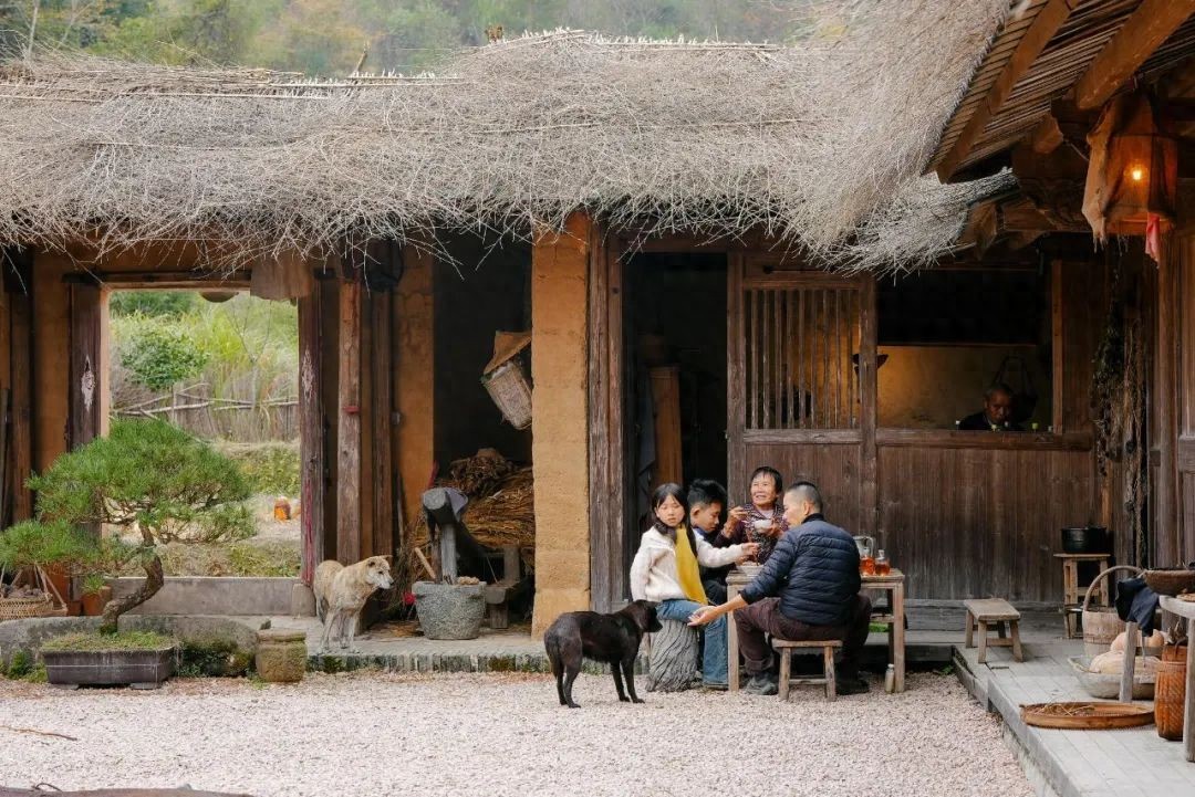 Từ bỏ 20 năm lập nghiệp ở phố lớn, người đàn ông đưa 2 con về làng cổ 800 năm tuổi “sống hoang dã”- Ảnh 1.