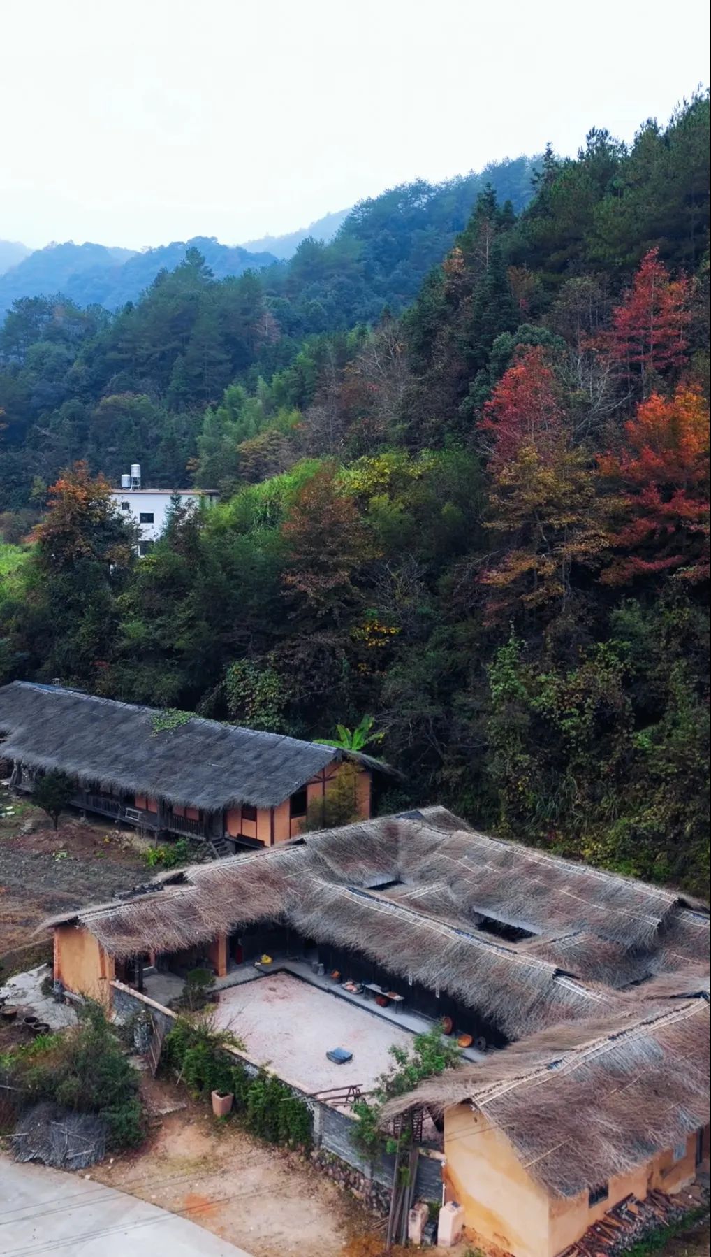 Từ bỏ 20 năm lập nghiệp ở phố lớn, người đàn ông đưa 2 con về làng cổ 800 năm tuổi “sống hoang dã”- Ảnh 4.