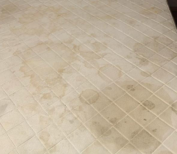 5 món trong nhà tưởng vô hại nhưng âm thầm sinh sôi năng lượng xấu, khiến bạn rước họa vào người- Ảnh 5.