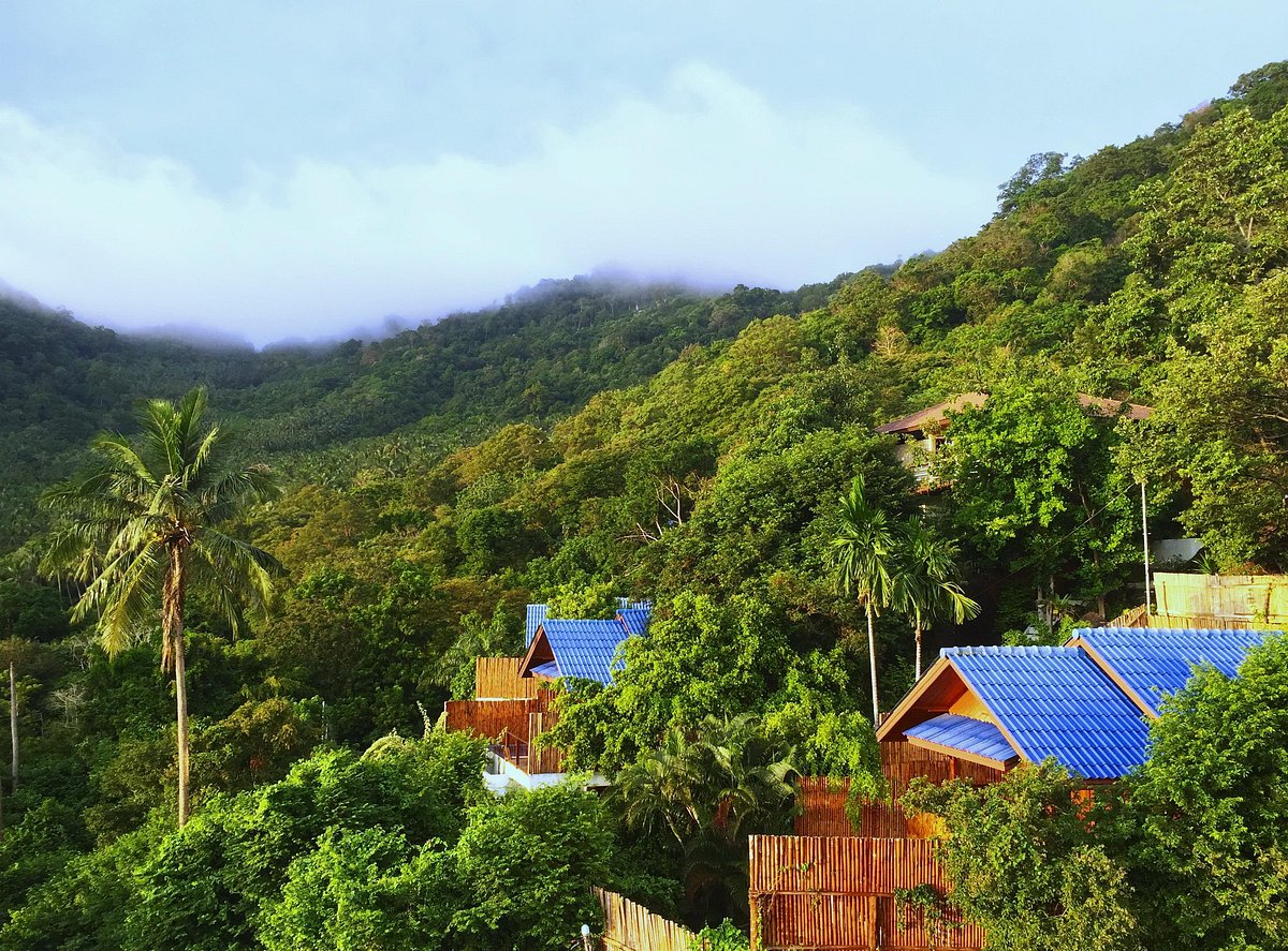 Bỏ 20 tỷ mua biệt thự, 6 năm sau giá tăng hơn 40 tỷ, người đàn ông nhận ra: "Tài sản giá trị lớn chưa chắc đã đem lại cuộc sống tốt"- Ảnh 1. Bỏ 20 tỷ mua biệt thự, 6 năm sau giá tăng hơn 40 tỷ, người đàn ông nhận ra: