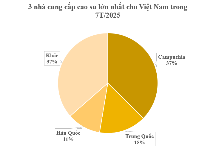 Gần 400.000 tấn cây quý từ Campuchia đổ bộ giúp Việt Nam trở thành 'ông trùm' thứ 3 thế giới: Nước ta là đối thủ lớn nhất của Thái Lan, chi hơn 1,7 tỷ USD gom hàng- Ảnh 1. Gần 400.000 tấn cây quý từ Campuchia đổ bộ giúp Việt Nam trở thành 'ông trùm' thứ 3 thế giới: Nước ta là đối thủ lớn nhất của Thái Lan, chi hơn 1,7 tỷ USD gom hàng- Ảnh 1.