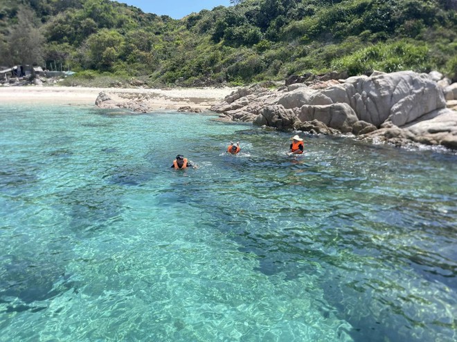 Hòn đảo hoang sơ thuộc tỉnh miền Trung, du khách nhận xét: "Ngỡ ngàng vì nước biển quá xanh!"- Ảnh 8.