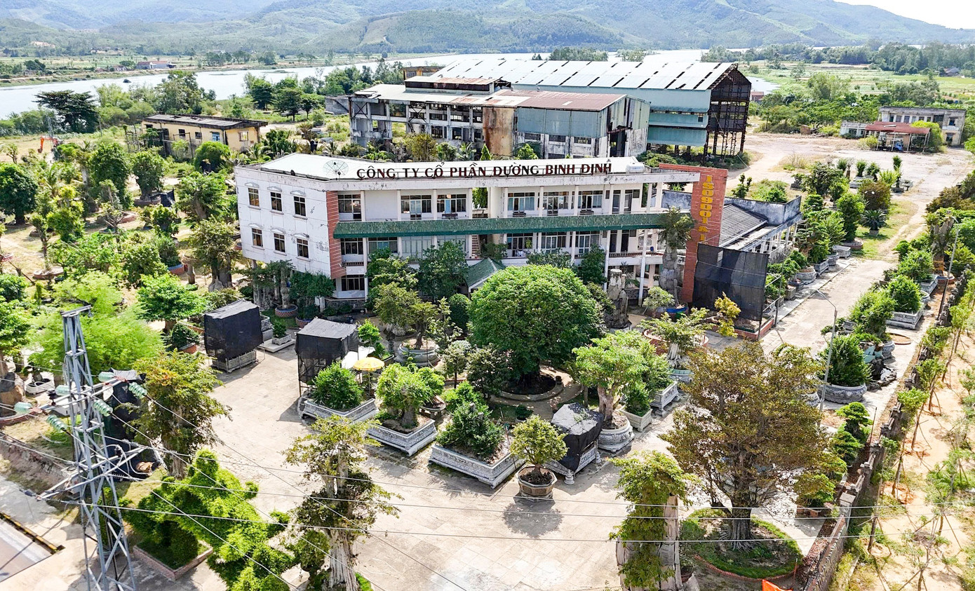 Một xã ở Gia Lai xin thu hồi hơn 90.000 m2 đất vàng ven sông- Ảnh 1.