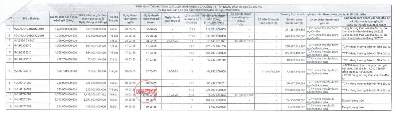 Novaland chậm thanh toán hơn 2.500 tỷ đồng gốc, lãi trái phiếu trong nửa đầu năm 2025- Ảnh 1.