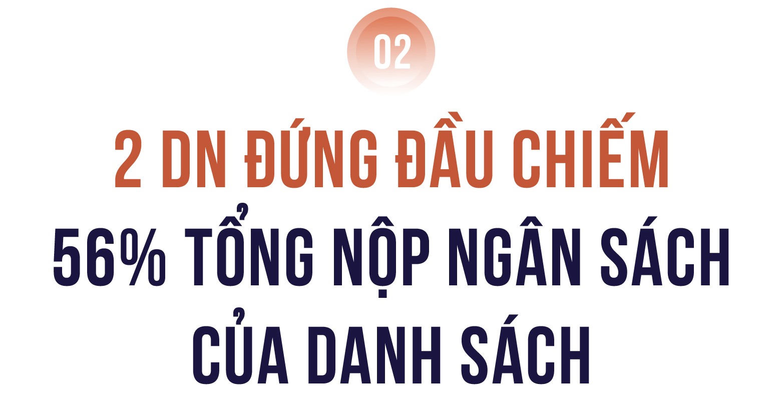 Công bố 10 Công ty tư nhân Thực phẩm - Đồ uống nộp ngân sách lớn nhất Việt Nam- Ảnh 3.
