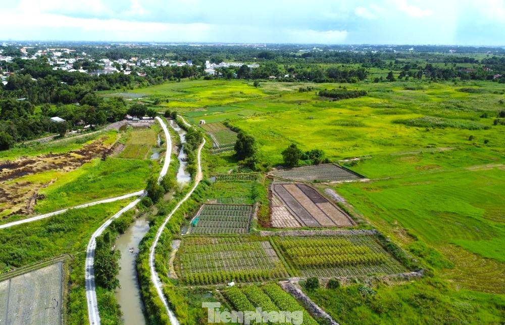 Dự án nhà ở bỏ hoang 17 năm trên 'đất vàng' TPHCM chính thức bị thu hồi- Ảnh 2.