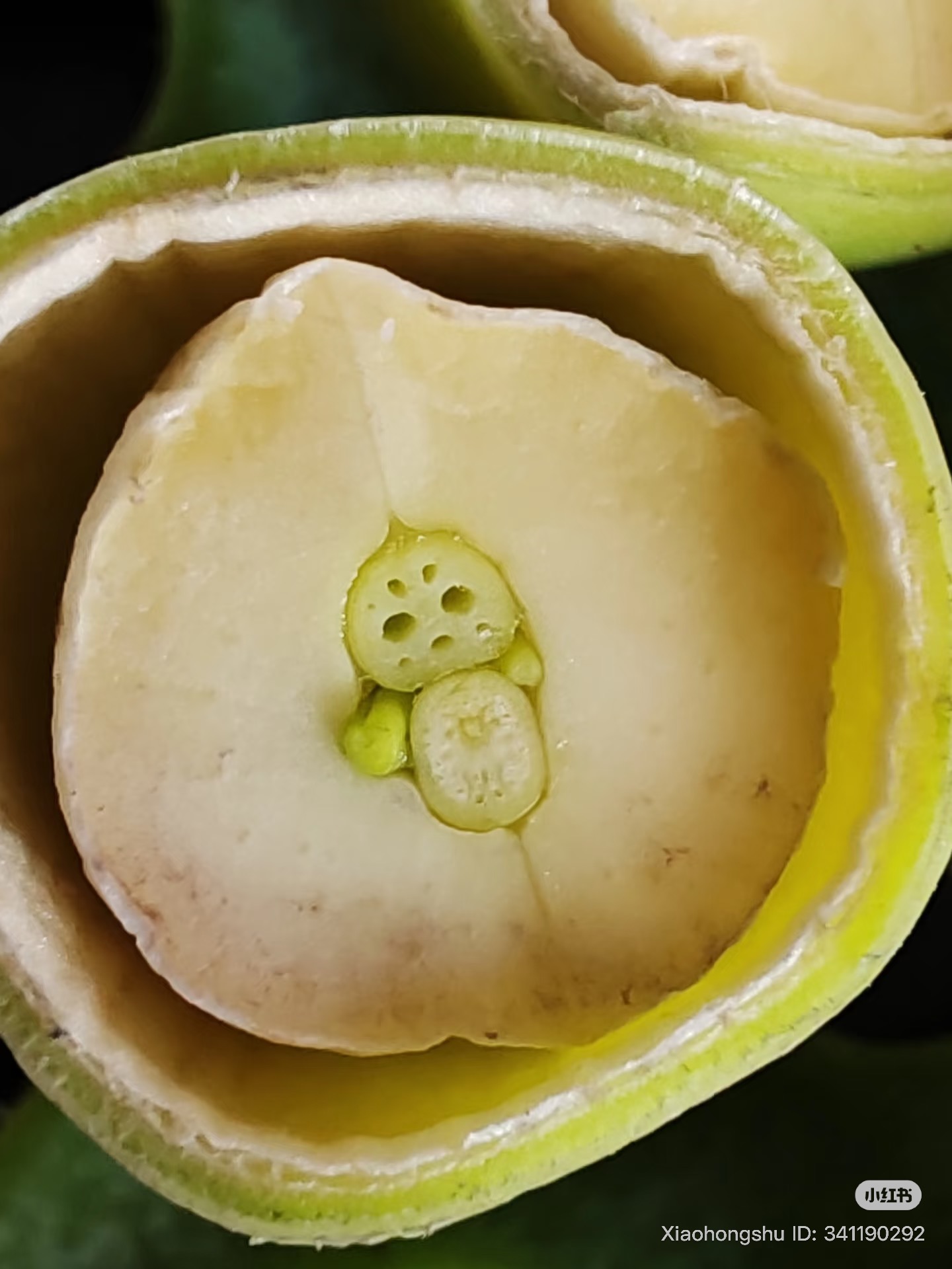 Trào lưu bổ đôi hạt sen thấy Na Tra gây sốt MXH xứ Trung, netizen đua nhau thử để kiểm chứng thật giả- Ảnh 1.