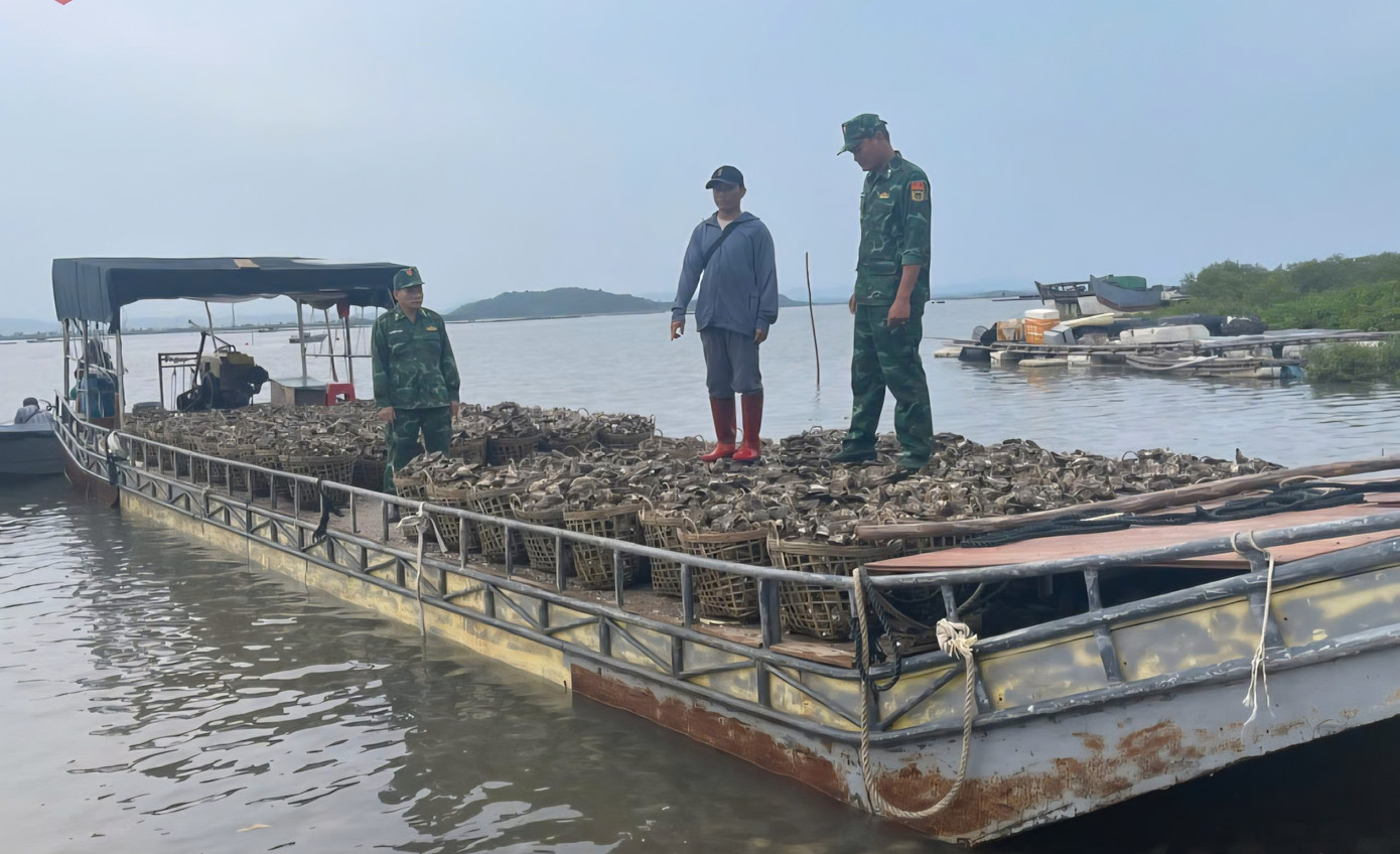 Thủ phủ hàu Vân Đồn điêu đứng, hàng Trung Quốc giá rẻ tràn lan- Ảnh 4. Thủ phủ hàu Vân Đồn điêu đứng, hàng Trung Quốc giá rẻ tràn lan- Ảnh 4.
