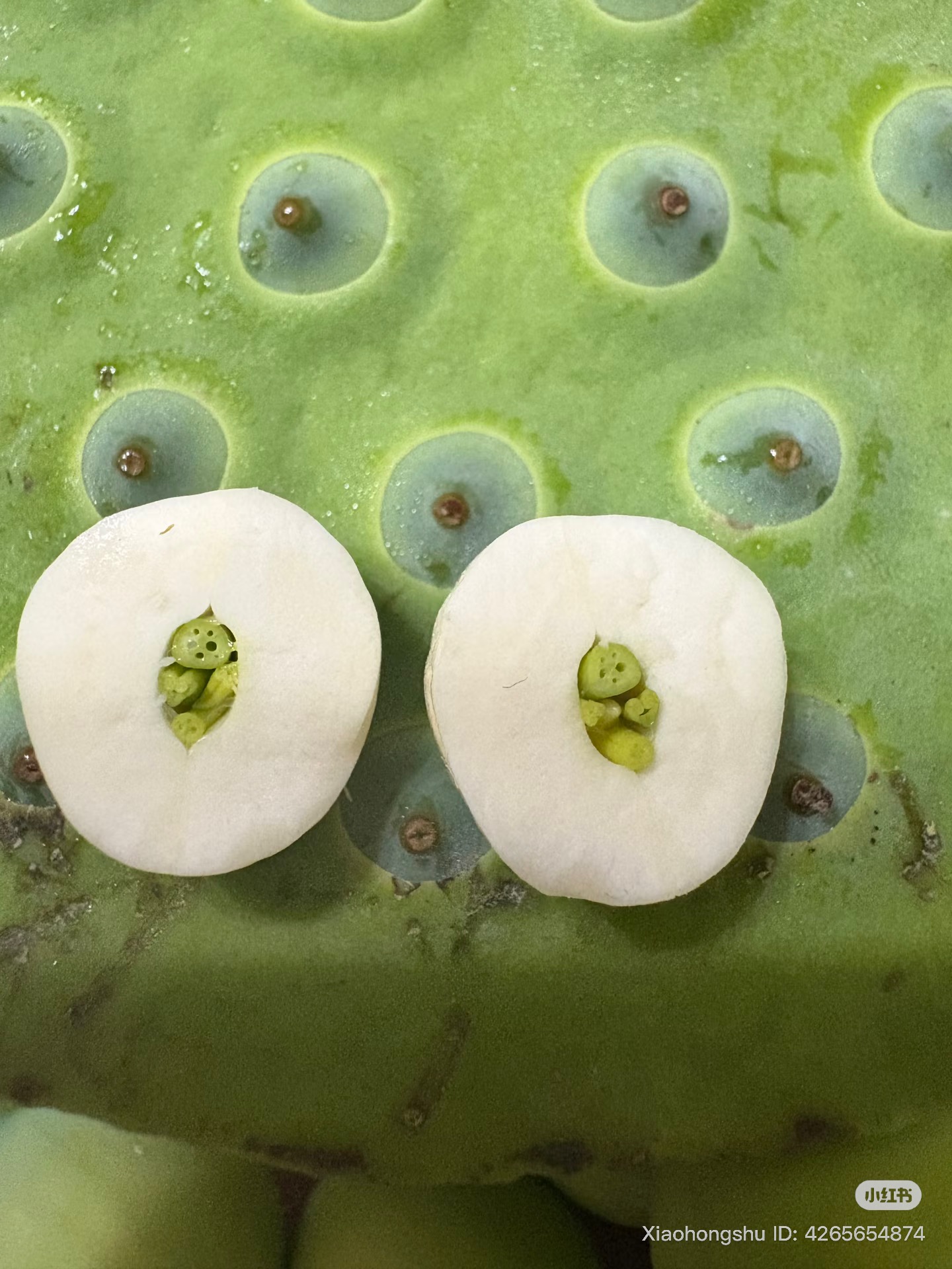 Trào lưu bổ đôi hạt sen thấy Na Tra gây sốt MXH xứ Trung, netizen đua nhau thử để kiểm chứng thật giả- Ảnh 4.