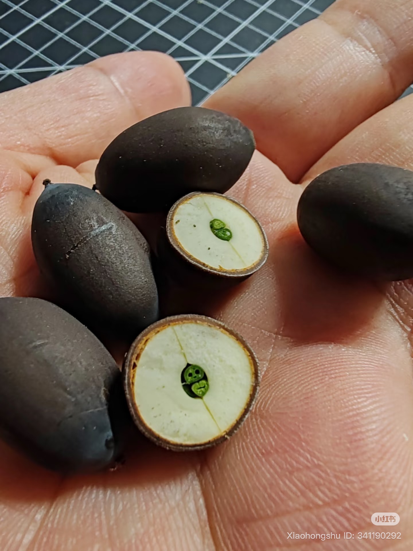 Trào lưu bổ đôi hạt sen thấy Na Tra gây sốt MXH xứ Trung, netizen đua nhau thử để kiểm chứng thật giả- Ảnh 6.