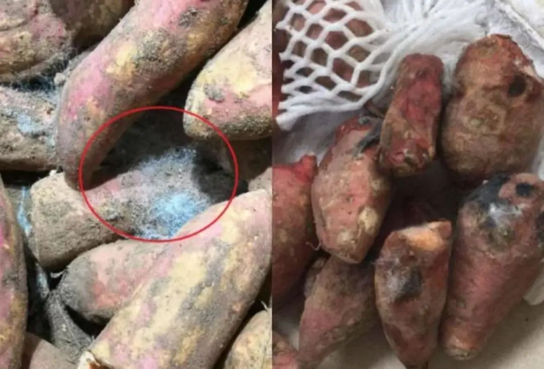 4 thực phẩm càng ăn gan càng "khô cứng như rễ tre" nhưng nhiều người vẫn thích mê- Ảnh 1. 4 thực phẩm càng ăn gan càng "khô cứng như rễ tre" nhưng nhiều người vẫn thích mê- Ảnh 1.