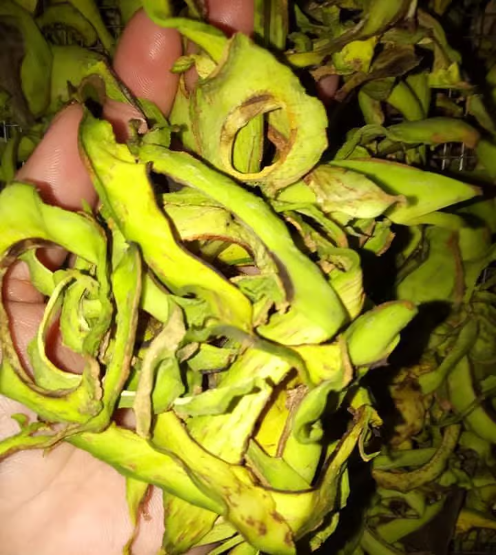 1 loại thực phẩm lọt Top tốt nhất thế giới, người Việt đã ăn từ lâu: Tốt cho cả người tiểu đường, được trồng rộng rãi ở nước ta- Ảnh 3.