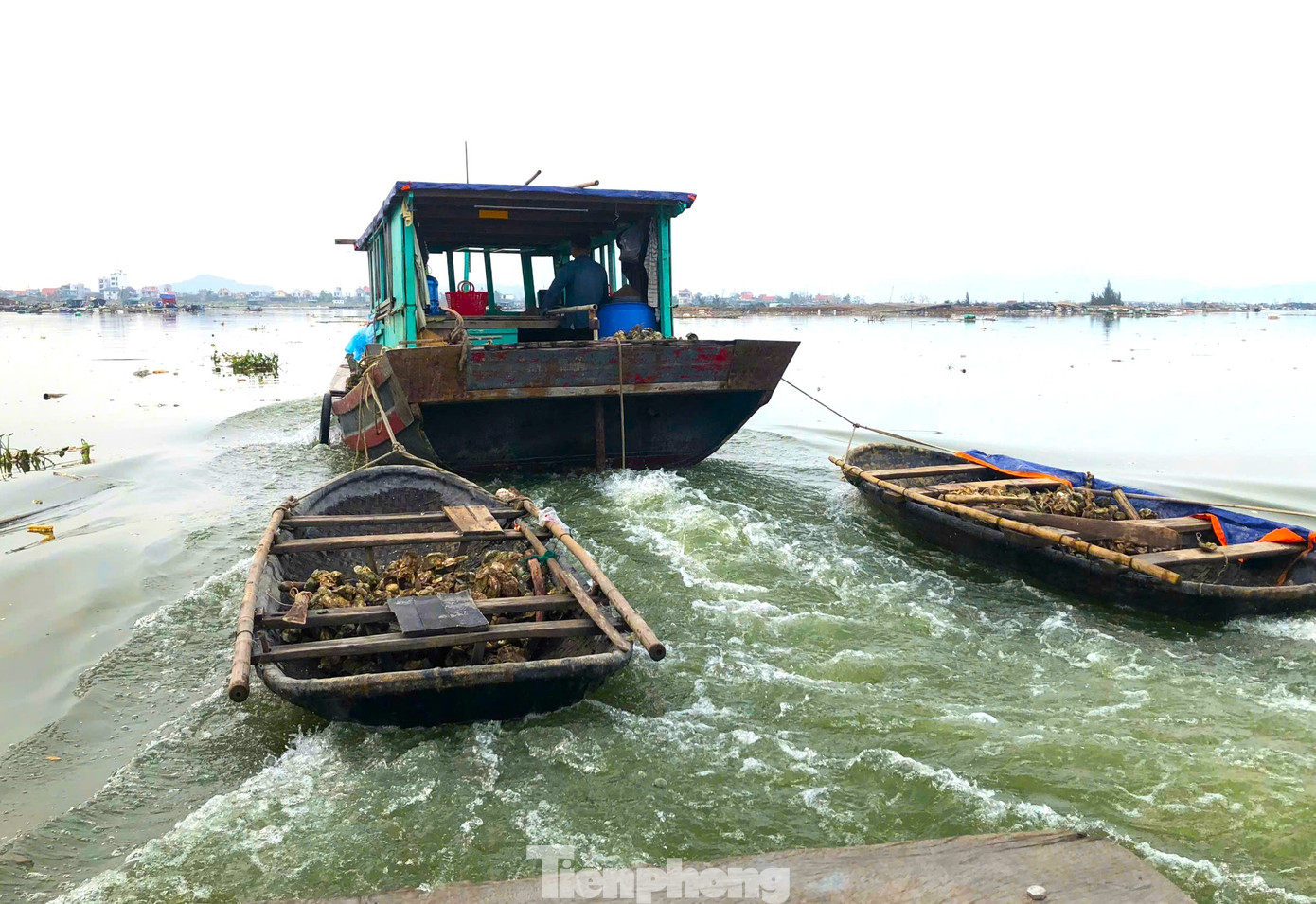 Thủ phủ hàu Vân Đồn điêu đứng, hàng Trung Quốc giá rẻ tràn lan- Ảnh 3. Thủ phủ hàu Vân Đồn điêu đứng, hàng Trung Quốc giá rẻ tràn lan- Ảnh 3.