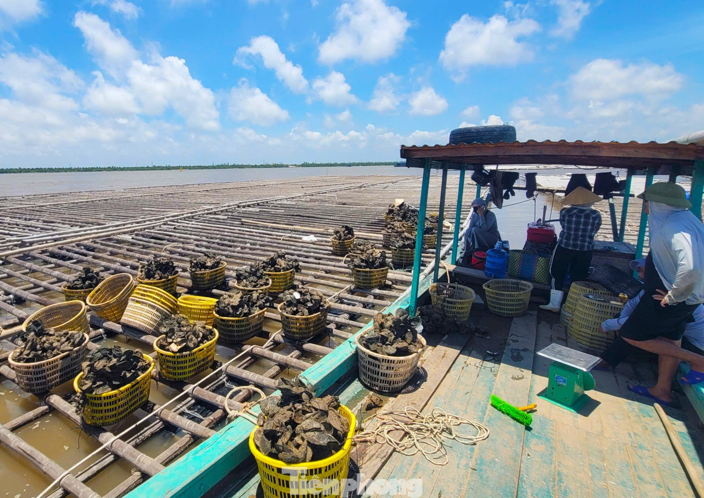 Thủ phủ hàu Vân Đồn điêu đứng, hàng Trung Quốc giá rẻ tràn lan- Ảnh 1. Thủ phủ hàu Vân Đồn điêu đứng, hàng Trung Quốc giá rẻ tràn lan- Ảnh 1.