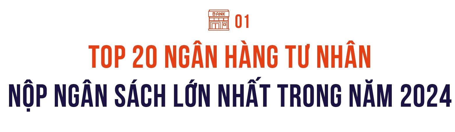 Công bố 20 Ngân hàng tư nhân nộp ngân sách lớn nhất Việt Nam- Ảnh 1.